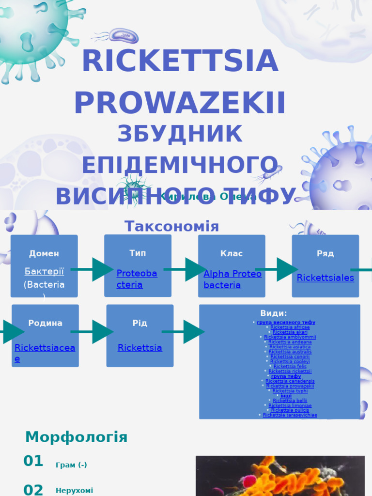 Rickettsia Prowazekii | PDF
