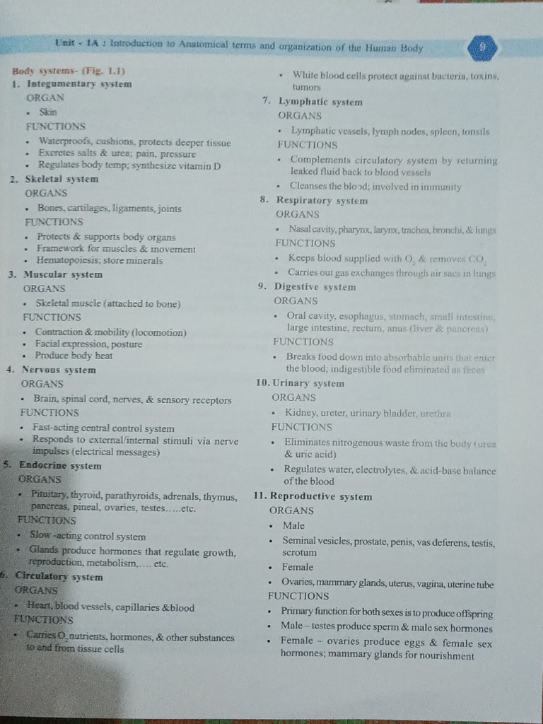 Body Function | PDF