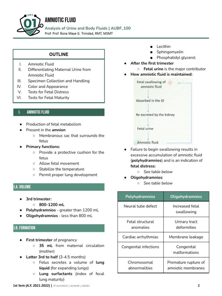 [Lec #13] Amniotic Fluid | PDF | Fetus | Maternal Health