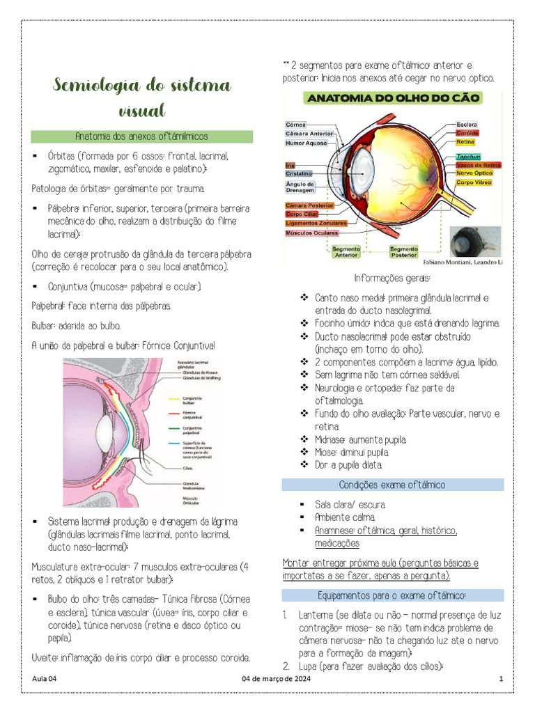 Resumo - Semiologia Do Sistema Visual Aula 04 | PDF