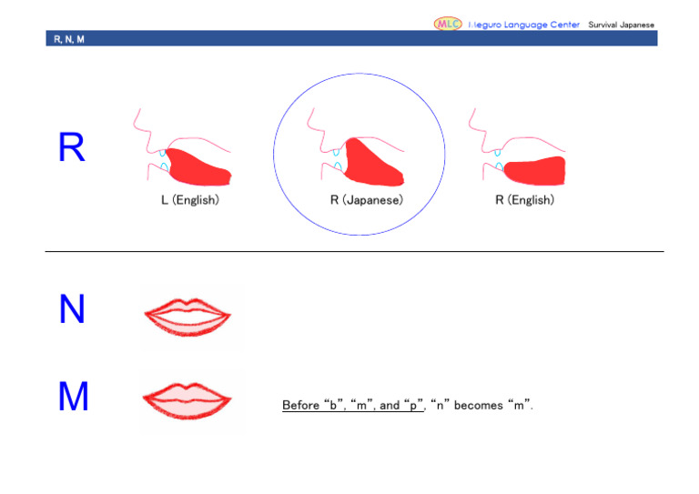 Survival Japanese: R, N, M Sounds | PDF