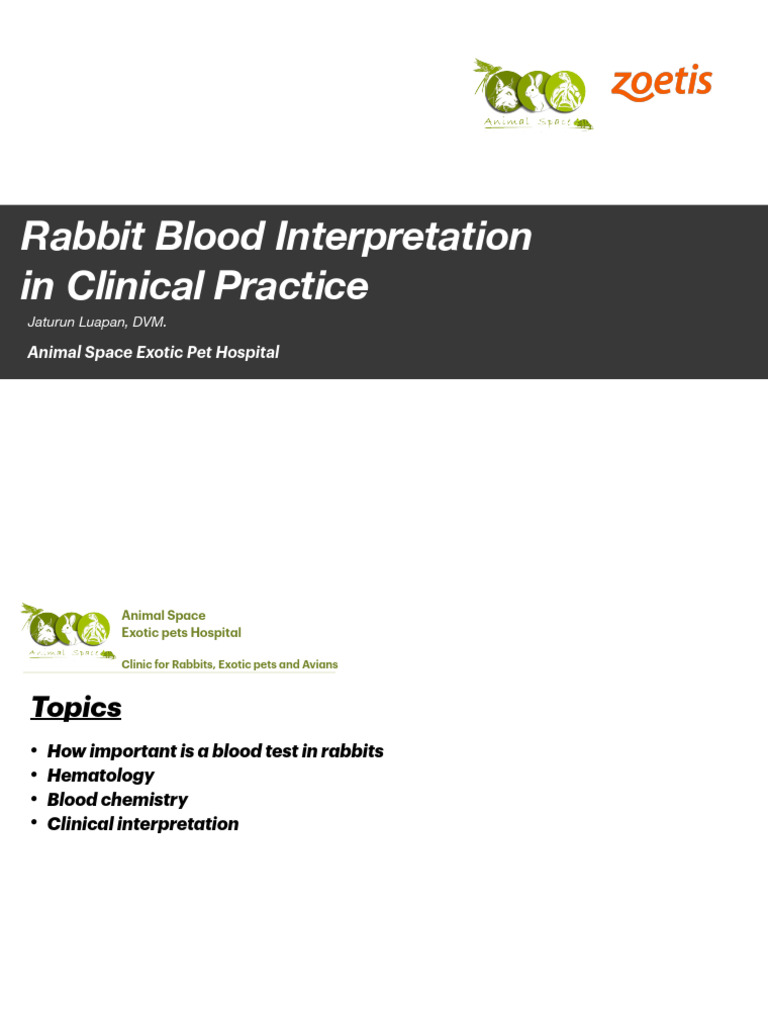 Rabbit Blood Test Interpretation Guide | PDF | White Blood Cell | Platelet