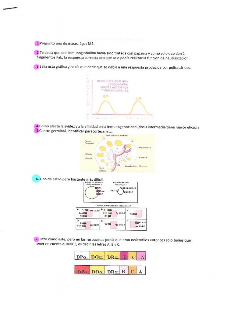 Inmunógenos y Antígenos: Claves Esenciales | PDF