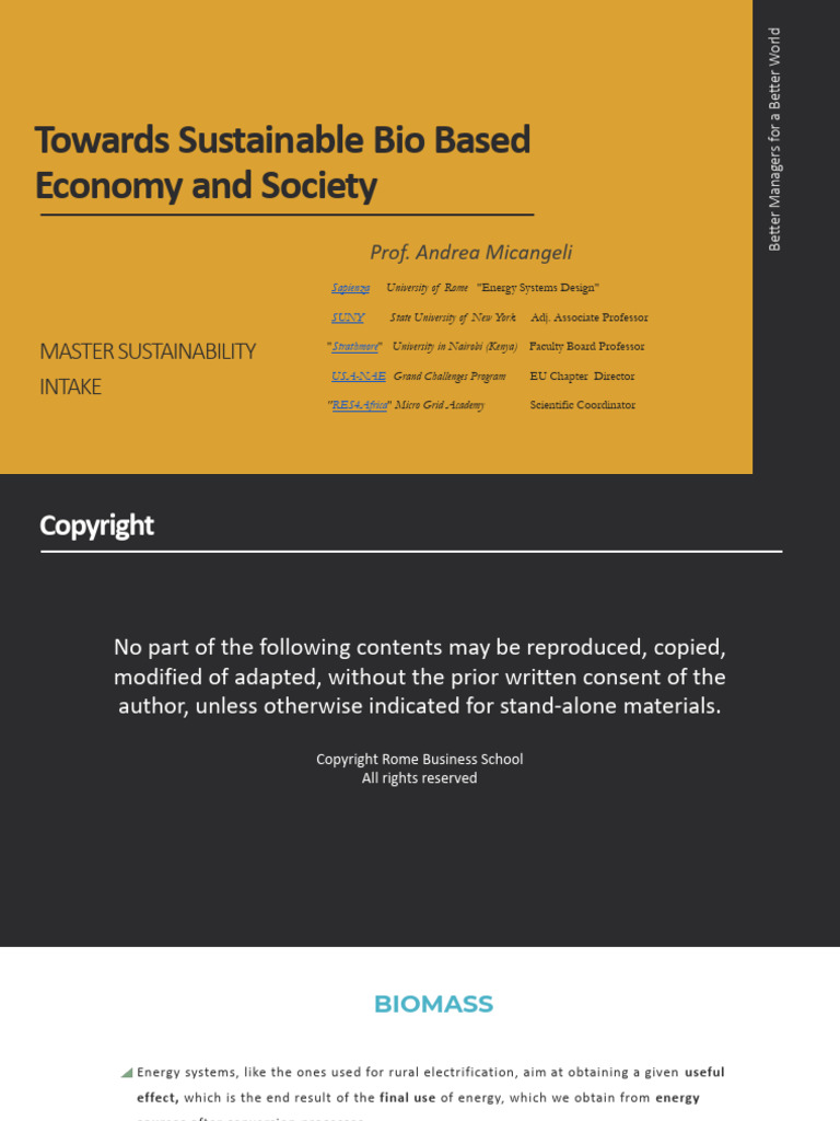 Innovation and Sustainability in Biomass Energy Production | PDF ...