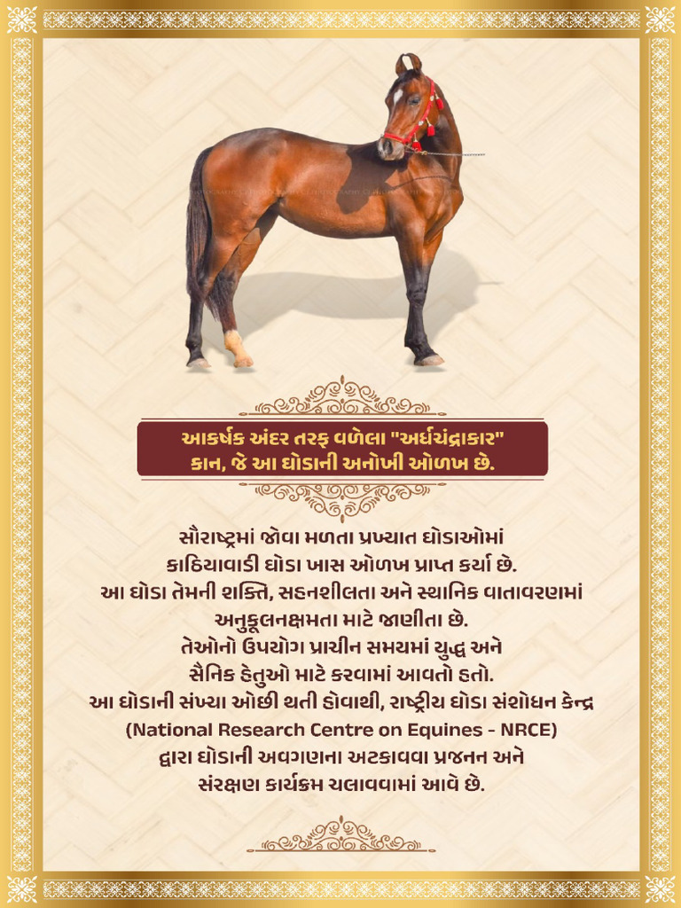 Horse | PDF