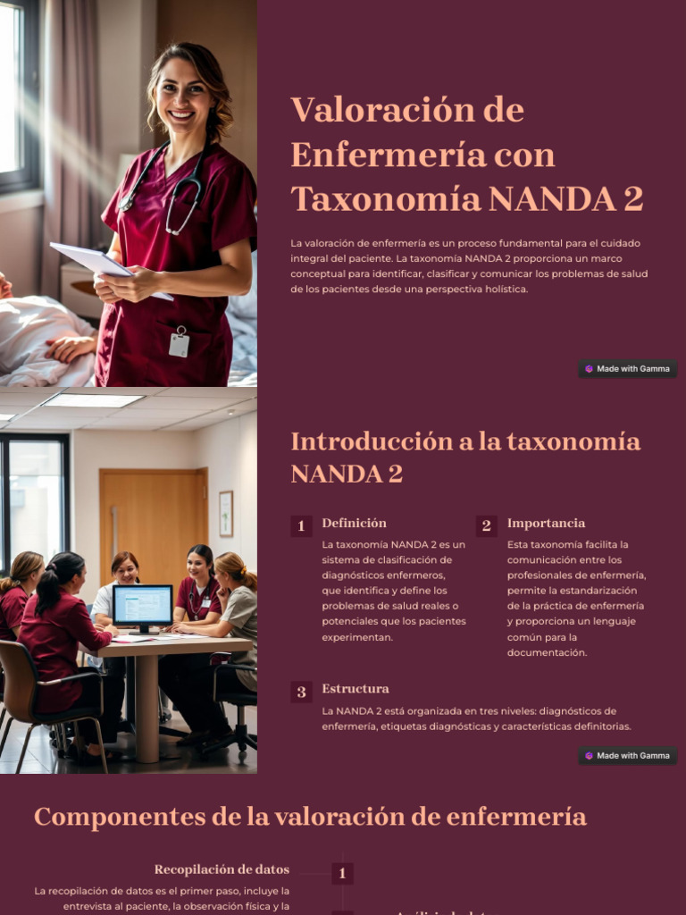Valoracion de Enfermeria Con Taxonomia NANDA 2 | PDF | Enfermería ...