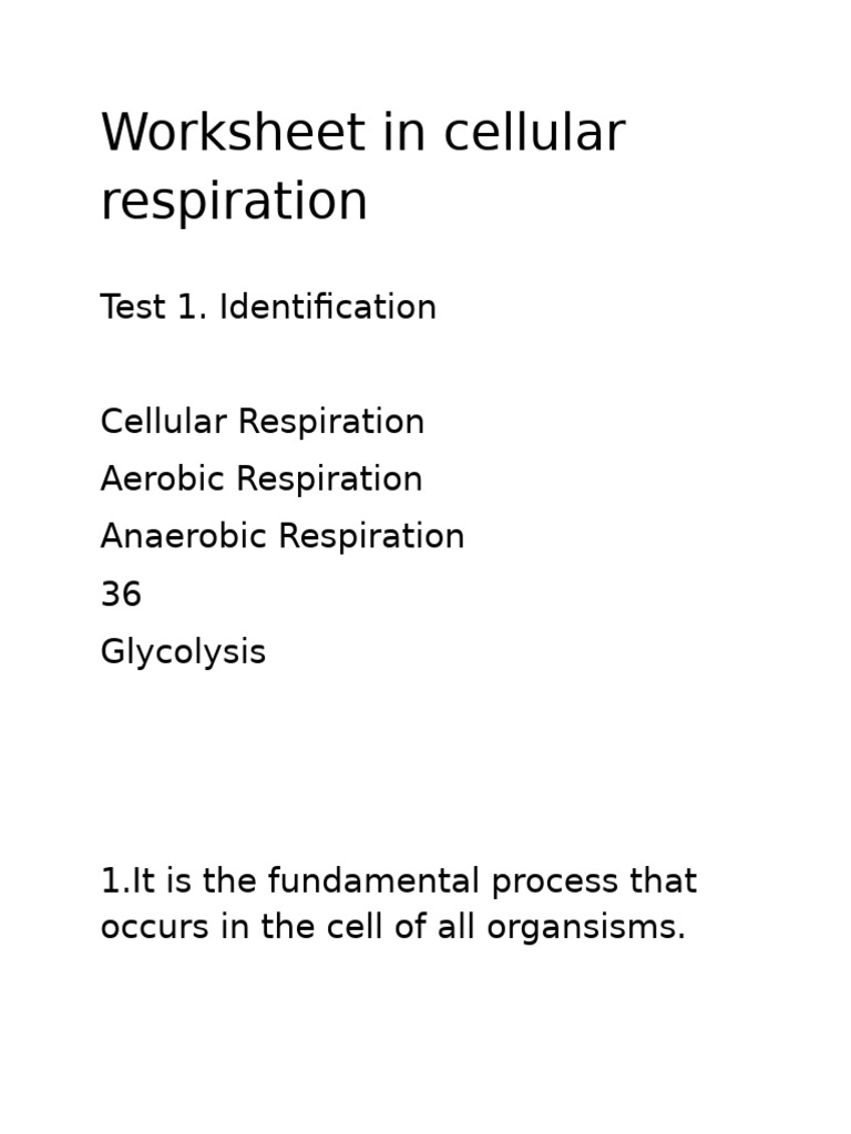 Cellular Respiration Worksheet Guide | PDF