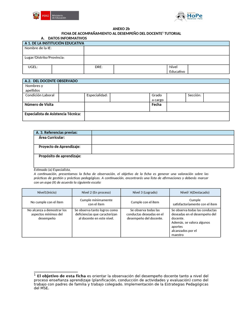Ficha de Desempeño Docente Secundaria | PDF | Evaluación | Maestros