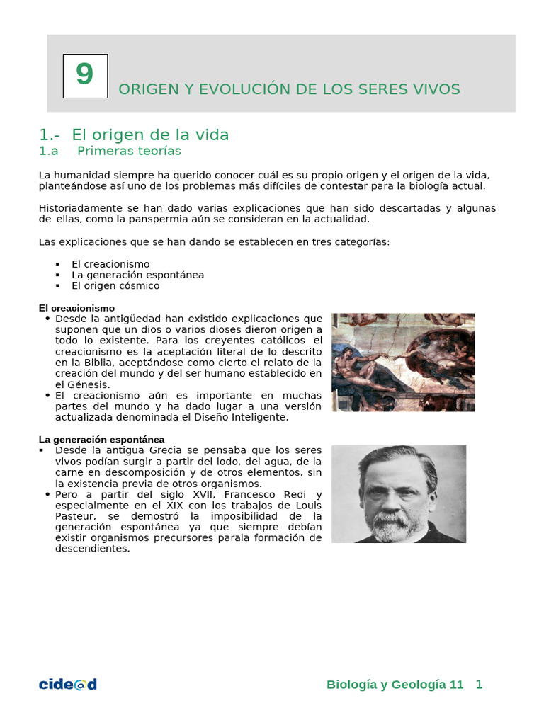 Origen y Evolución de la Vida | PDF | Evolución | Seleccion natural
