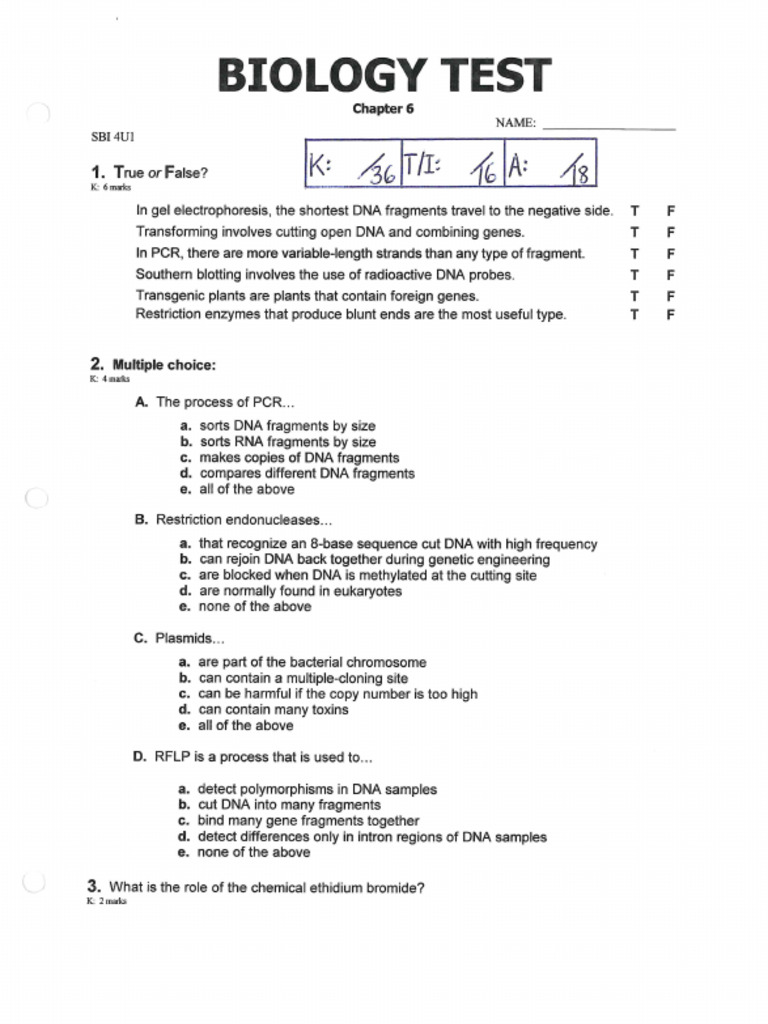 Test Chapter 6 (#4) | PDF