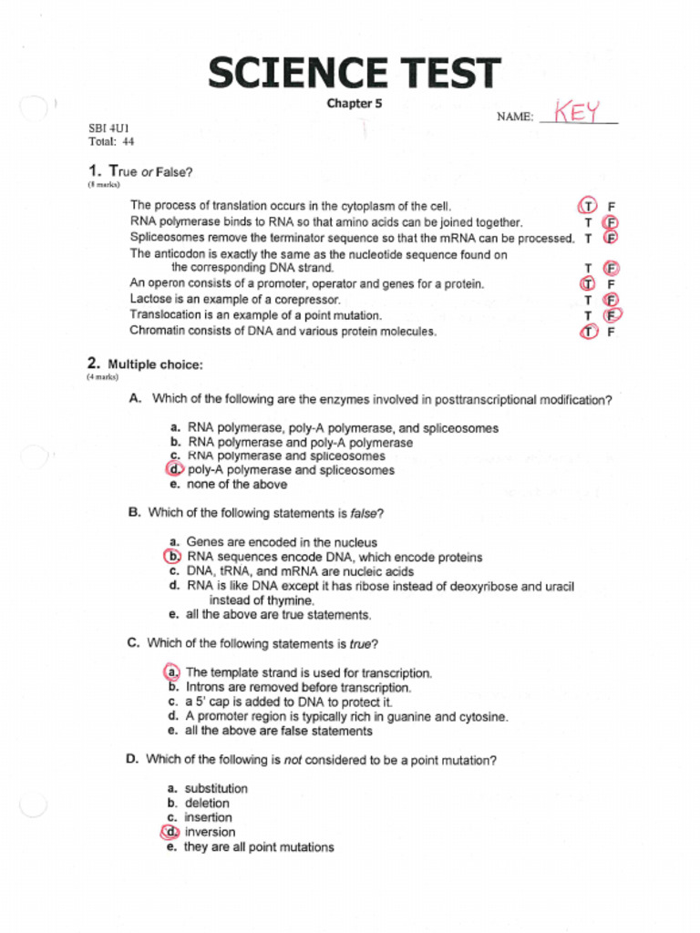 Test Chapter 5 (KEY) | PDF
