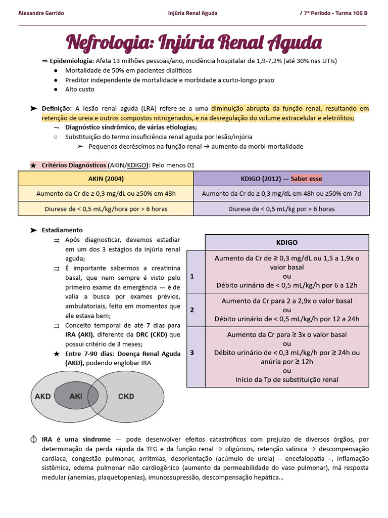 Injúria Renal Aguda: Diagnóstico e Tratamento | PDF | Especialidades ...