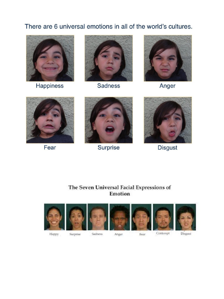 Six Universal Facial Gestures | PDF