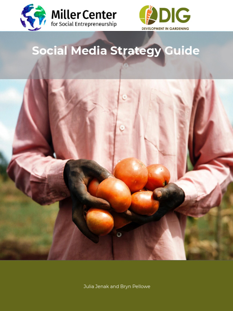 Social Media Strategy for DIG | PDF | Social Media | Popular Culture ...