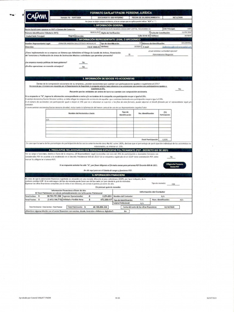 FORMATO CAFAM | PDF | Contabilidad | Business