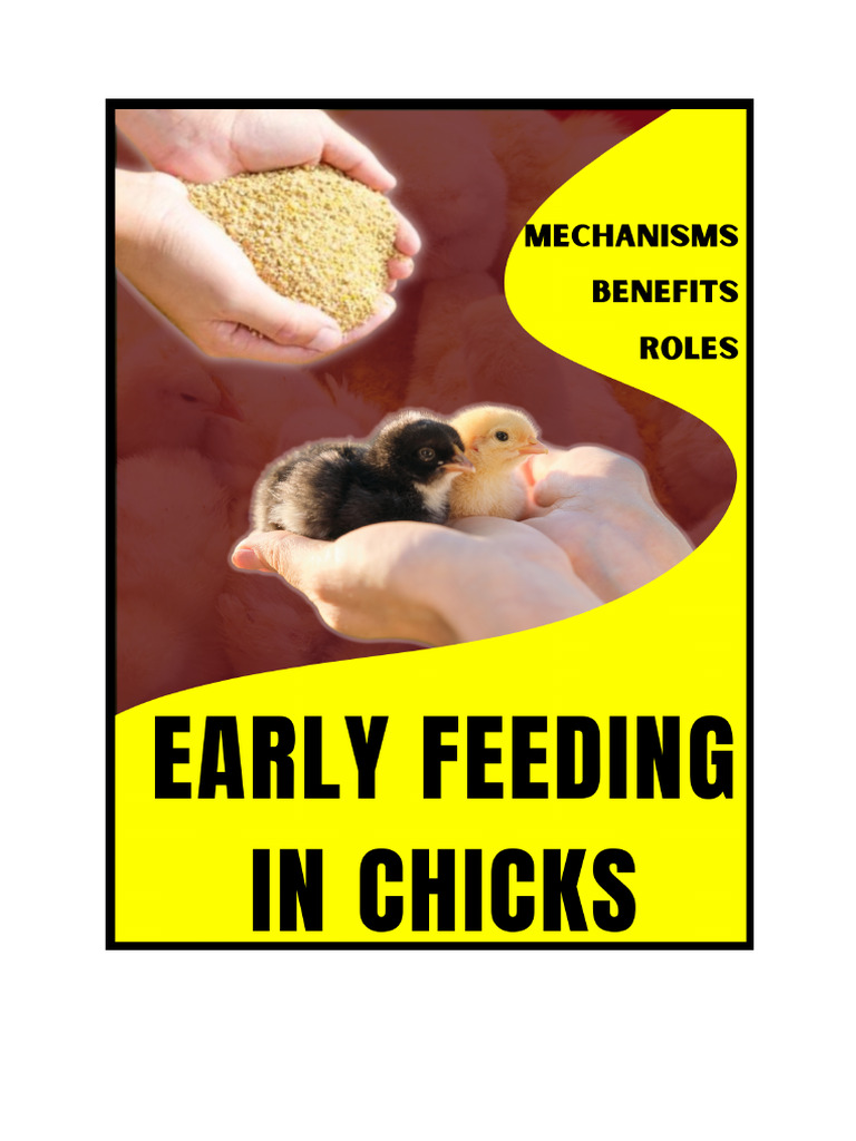 Early Feeding of Chicks | PDF | Gastrointestinal Tract | Small Intestine