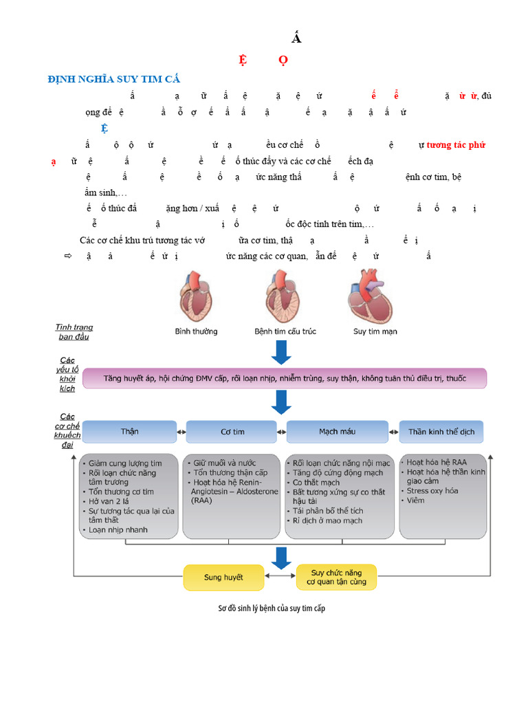 Suy tim cấp | PDF