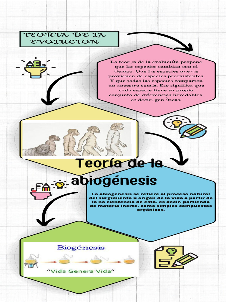Teoría de La Evolución | PDF