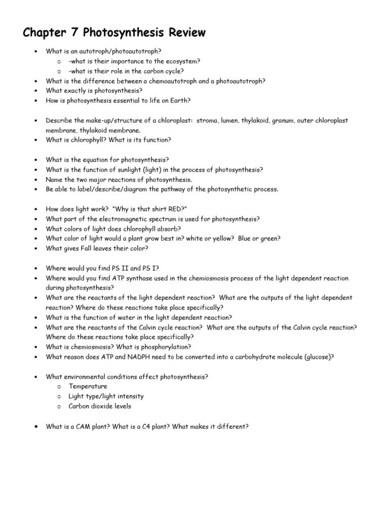 Chapter+7+Photosynthesis+Review | PDF