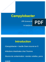 Campylobacter