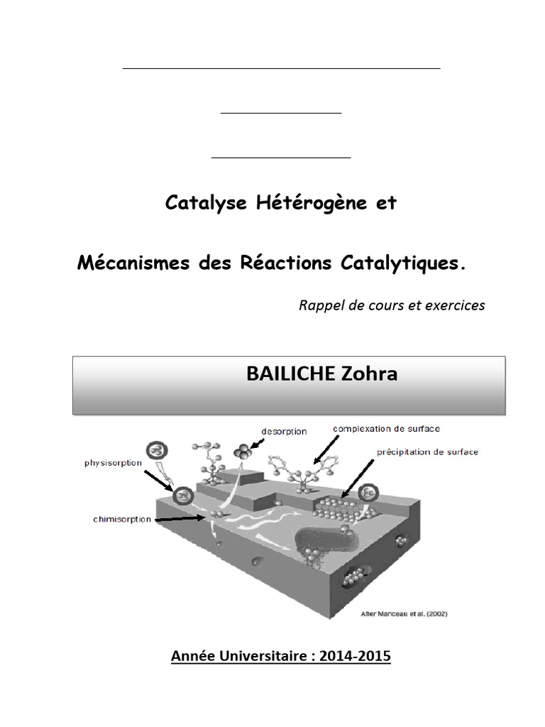 Catalyse Hétérogène : Concepts et Applications | PDF | Adsorption ...