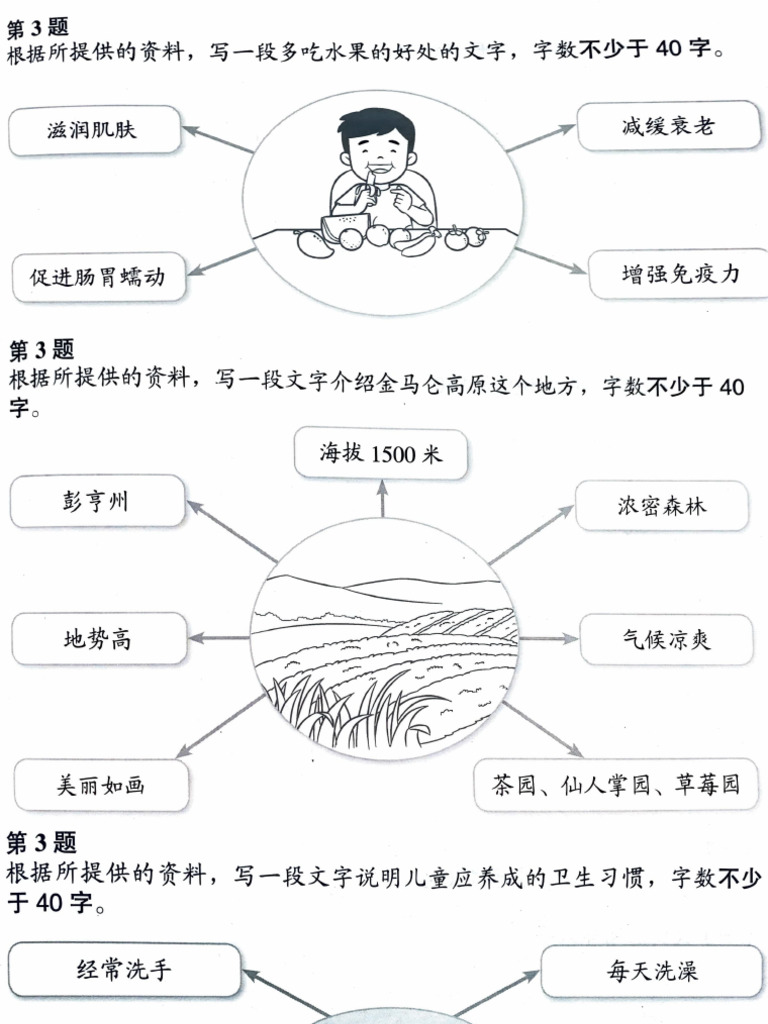 六年级华文作文（丁&丙） | PDF