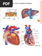 Оксана Марченконың аяқ фетиші
