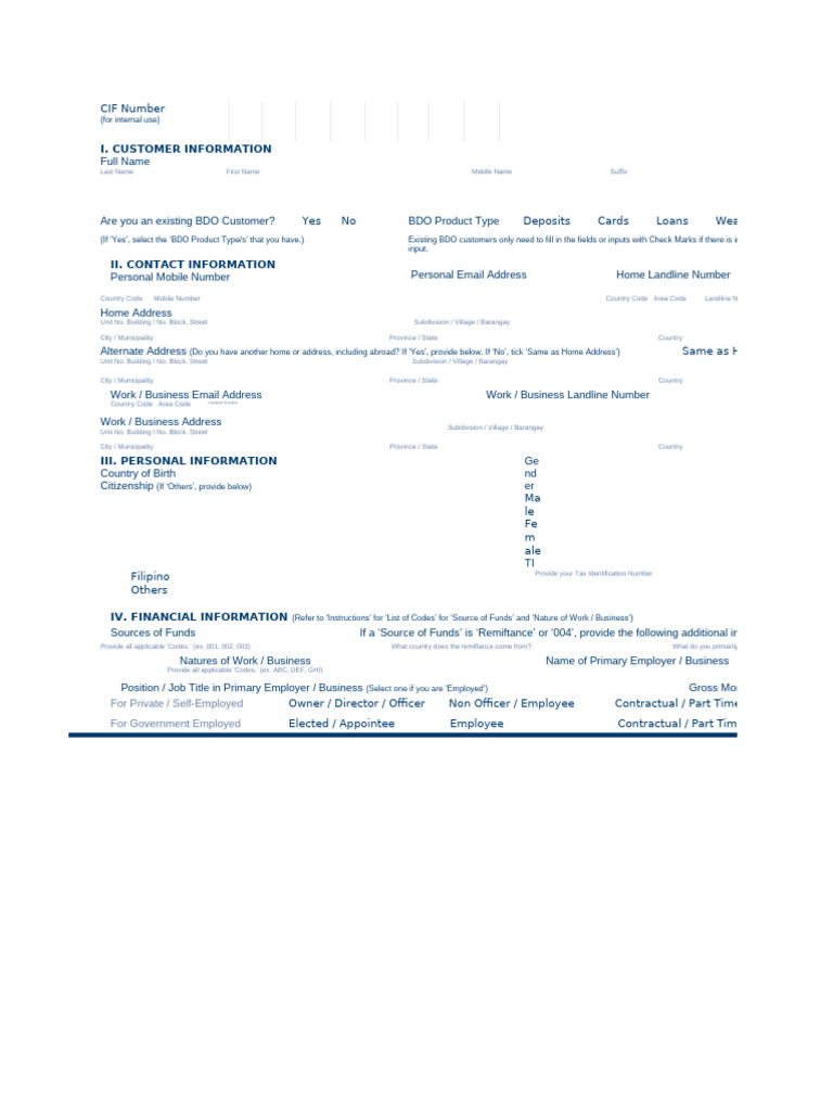 BDO Customer Information Form | PDF | Business