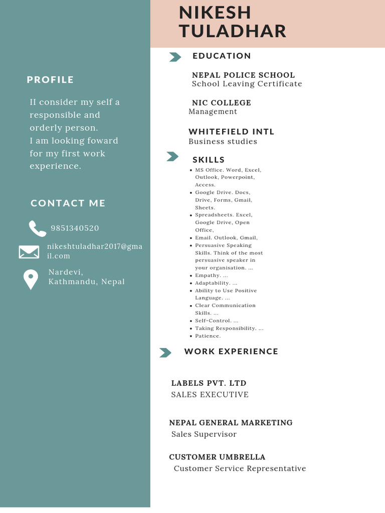 Updated CV | PDF