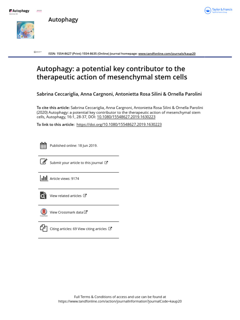 Autophagy's Role in Stem Cell Therapy | PDF | Autophagy | Mesenchymal ...