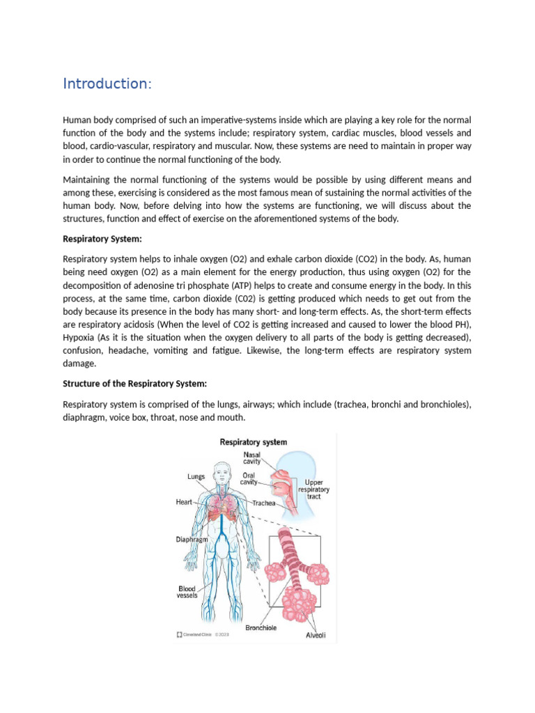 Peters Work | PDF | Blood Vessel | Heart