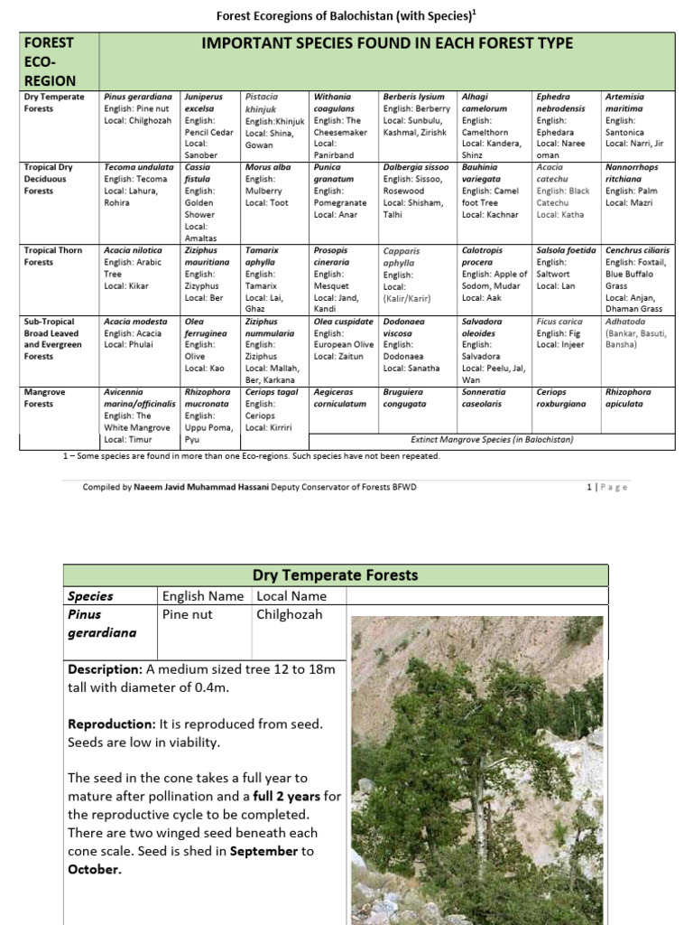 Balochistan Forests: Key Species Overview | PDF | Seed | Trees