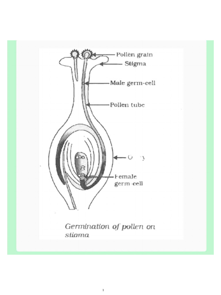Biology Practical No 14 - Pollen Ger | PDF