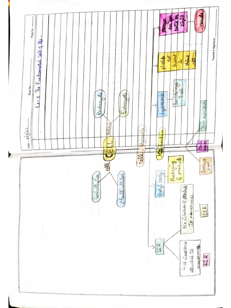 Document 11 | PDF