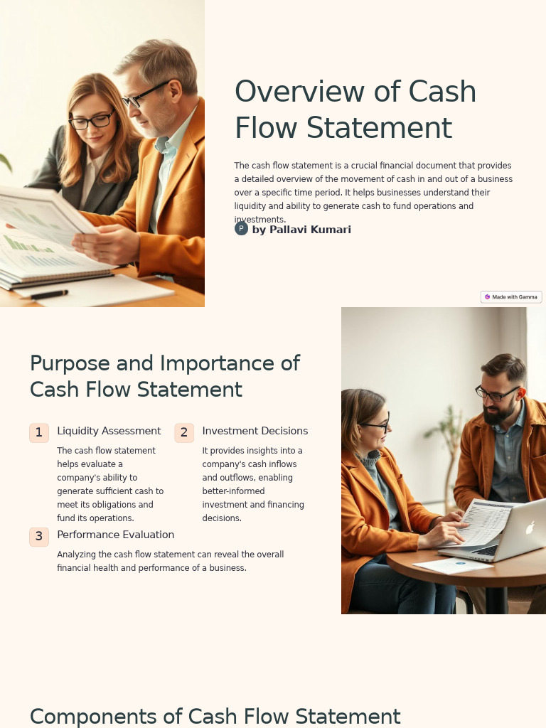 Overview of Cash Flow Statement 1 | PDF