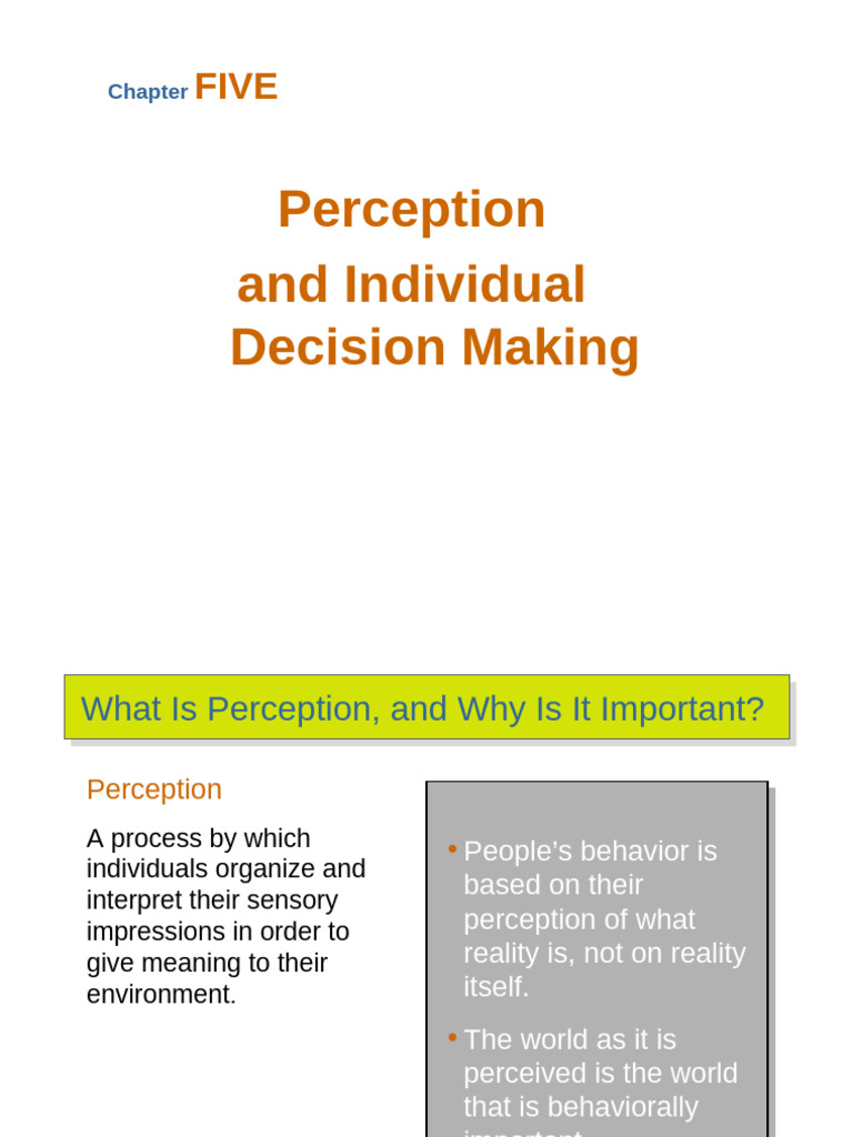 OB12 - 05in - Perception and Individual Decision Making | PDF ...