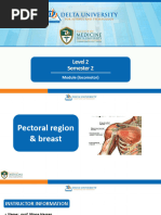 Pectoral Region | PDF | Arm | Human Anatomy