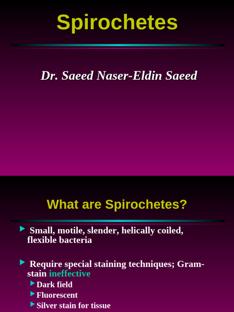 6 - Spirocheates -Syphilis dental FFFF | PDF | Serology | Immunology