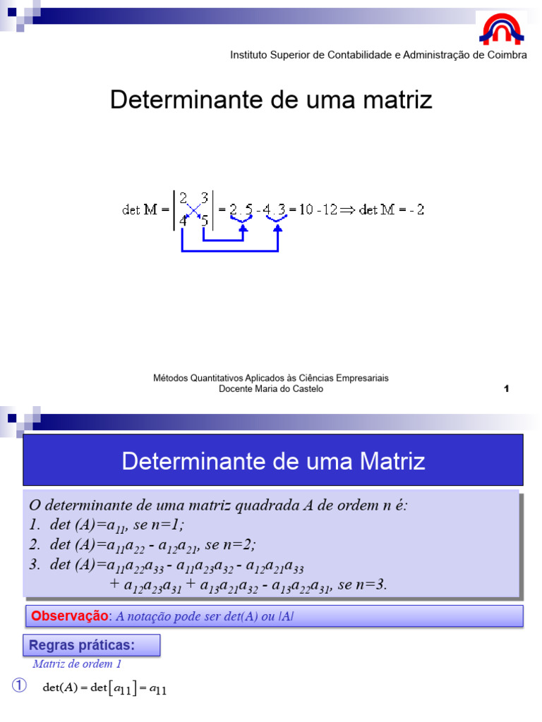 Como Calcular o Determinante de Matrizes | PDF | Determinante | Matriz ...