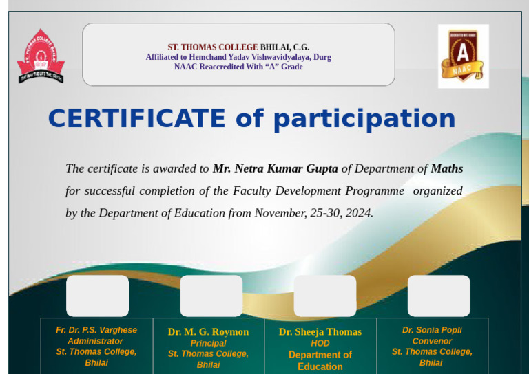 Netra Sir (Maths) Mam Participation Certificate FDP 2024-25 | PDF