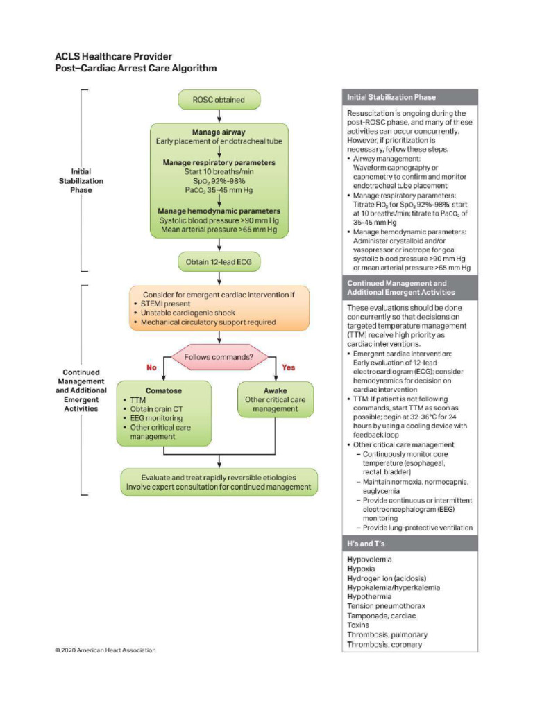 AlgorithmACLS_PCAC_200622 (1) | PDF