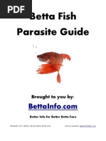 Download Betta Fish Parasite Guide by Angela Soup SN80571958 doc pdf