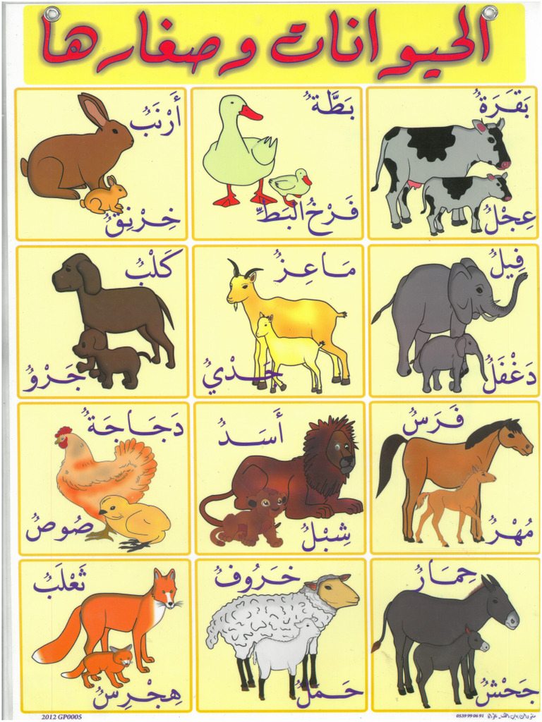 Animal For Kids | PDF