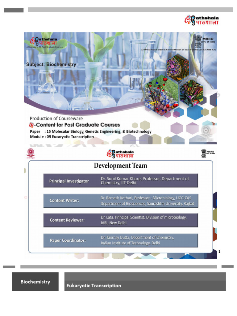 1501754300EucaryoticTranscriptionE Text | PDF | Rna Splicing | Rna