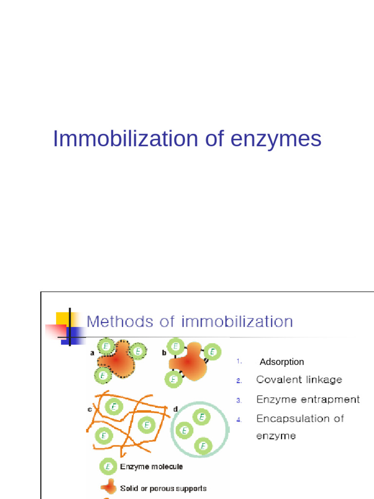 Enzyme Immobilization Techniques Explained | PDF