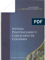 Sistema Rio y Carcelario en Colombia