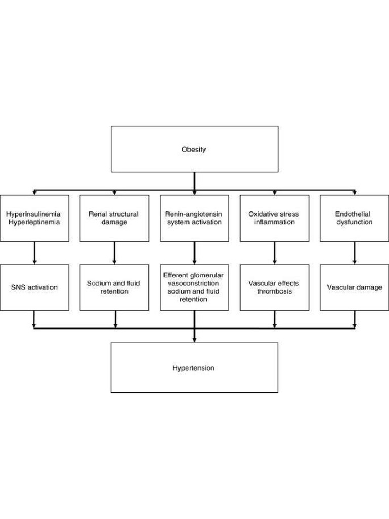 978 3 540 76341 3 - 61 - Fig3 - HTML | PDF