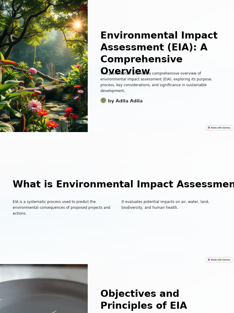 Environmental Impact Assessment EIA A Comprehensive Overview | PDF ...