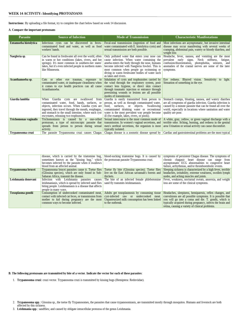 WEEK 14 ACTIVITY Identifying PROTOZOANS | PDF | Medical Specialties ...