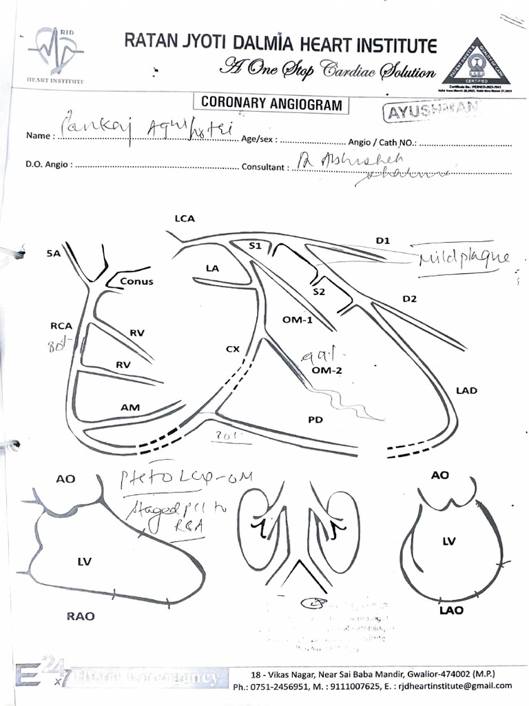 Angiography Report for Mr. Pankaj Agnihotri | PDF | Angiology | Medical ...